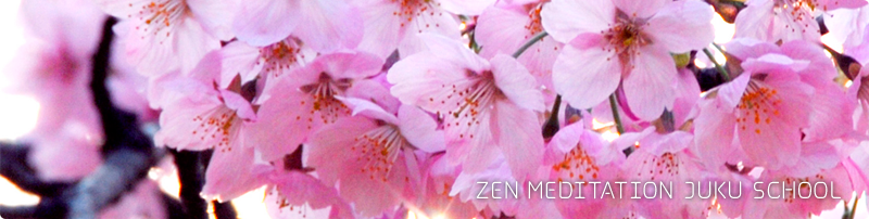 ZEN MEDITATION JUKU SCHOOL